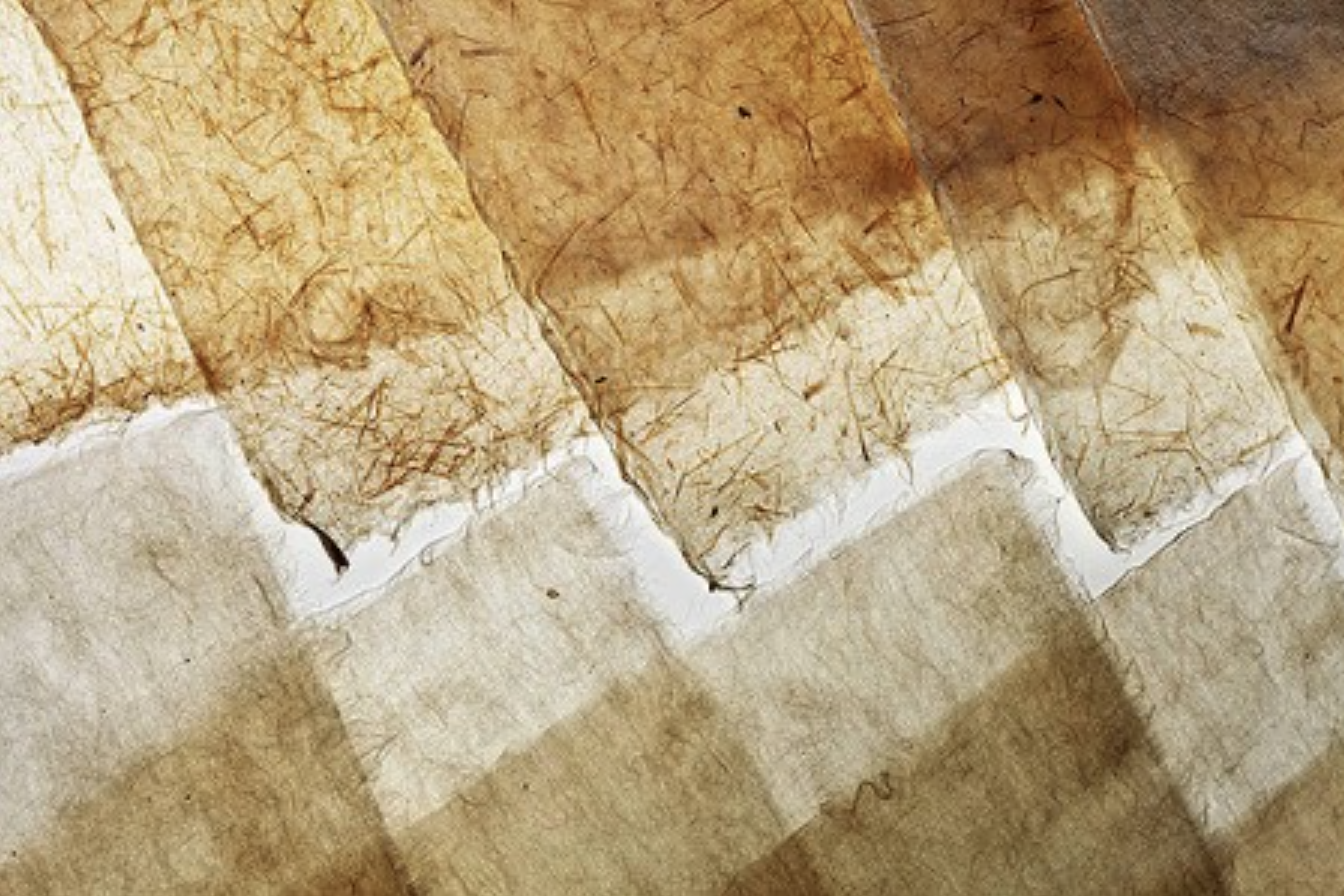 Hanji: What Mulberry Bark Paper Is Actually Capable&nbsp;Of