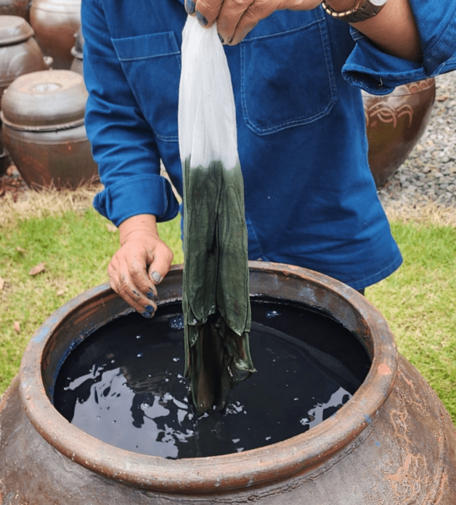 A person holding a dyed fabric above a large clay pot filled with indigo dye, with green and white coloring visible on the fabric.